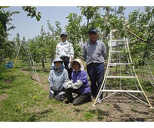 盛岡市　熊谷果樹園